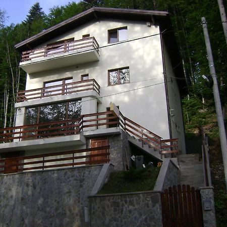 Отель Casa Anotimpuri Синая Экстерьер фото