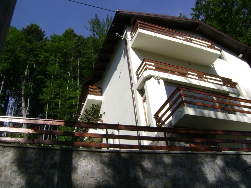 Отель Casa Anotimpuri Синая Экстерьер фото